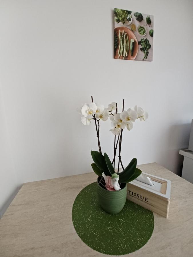 Angel Apartament Sibiu Extérieur photo