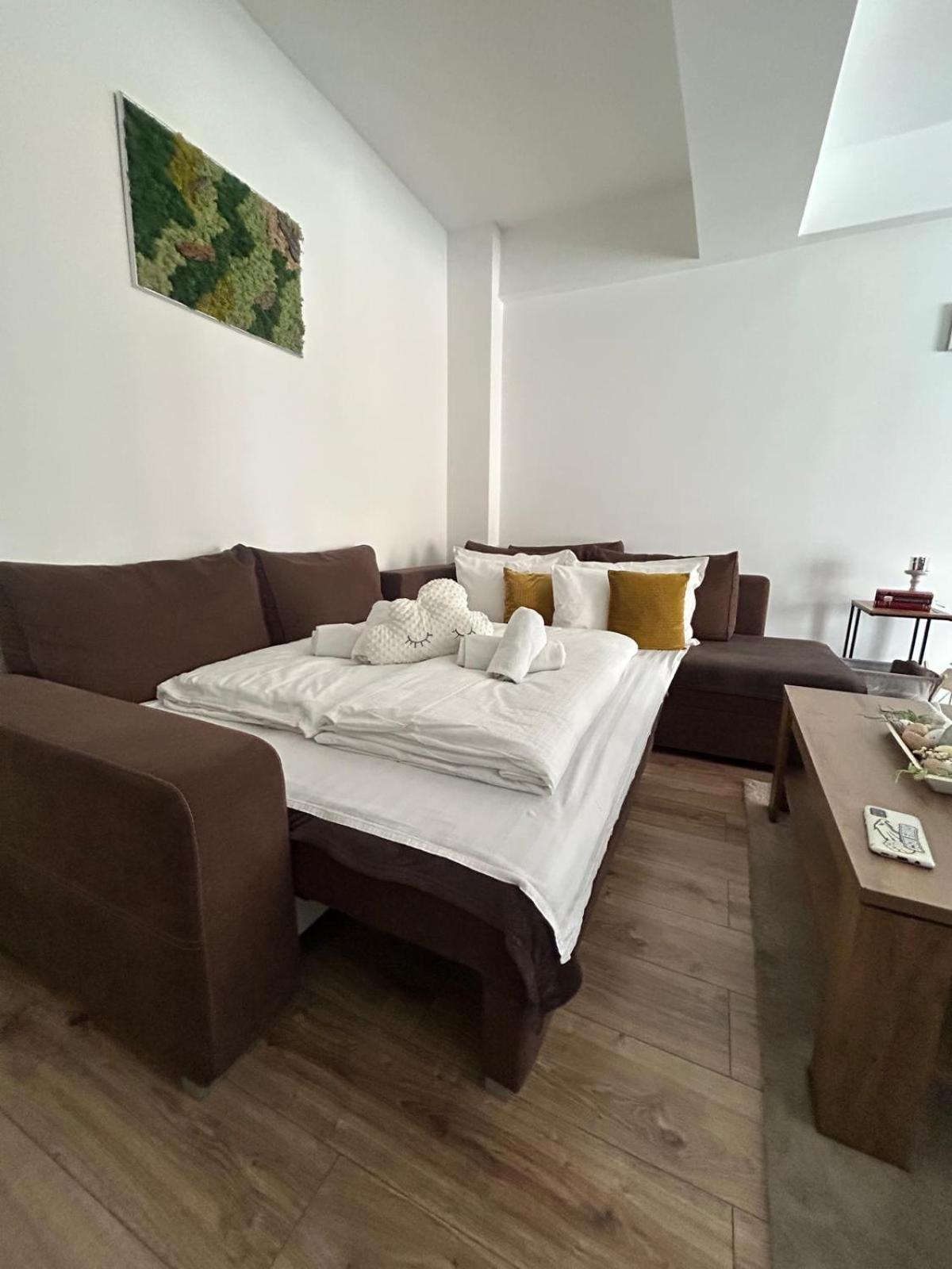 Angel Apartament Sibiu Extérieur photo